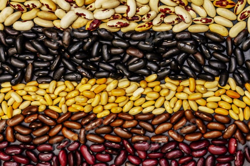 Preview: Set Of Various Dry Legumes Scattered In Stripes, Indispensable Protein For A Healthy Lifestyle