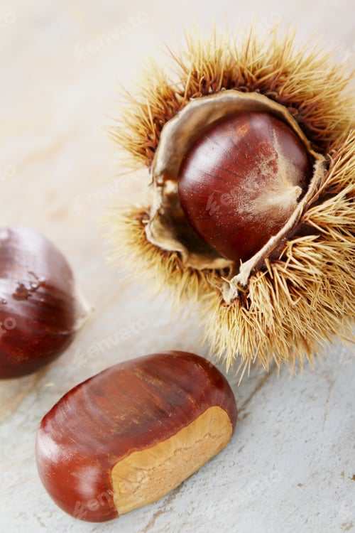 Preview: Preparing Ripe Chestnuts
