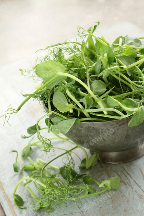 Preview: Fresh Pea Shoots In Dish
