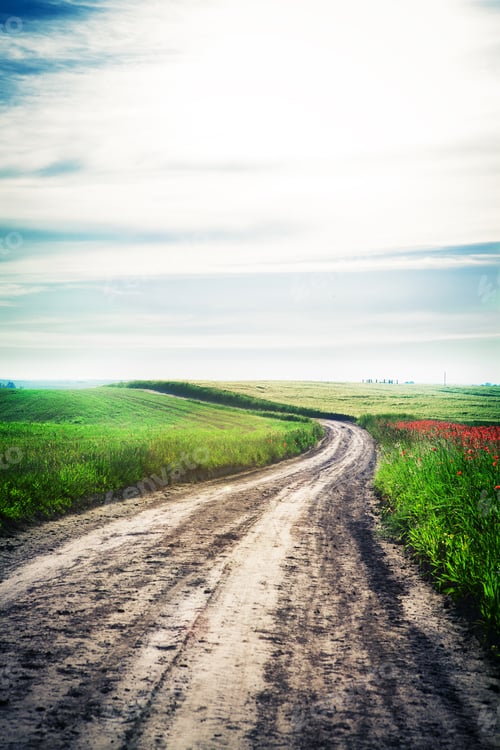 Preview: Wheat Field