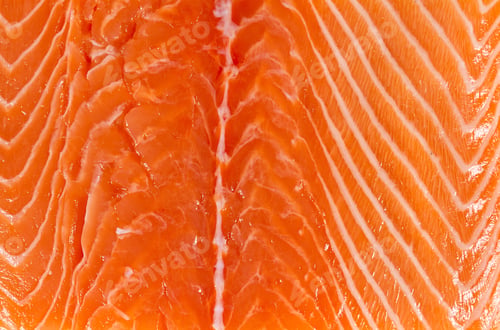 Preview: Salmon Fillet Close Up