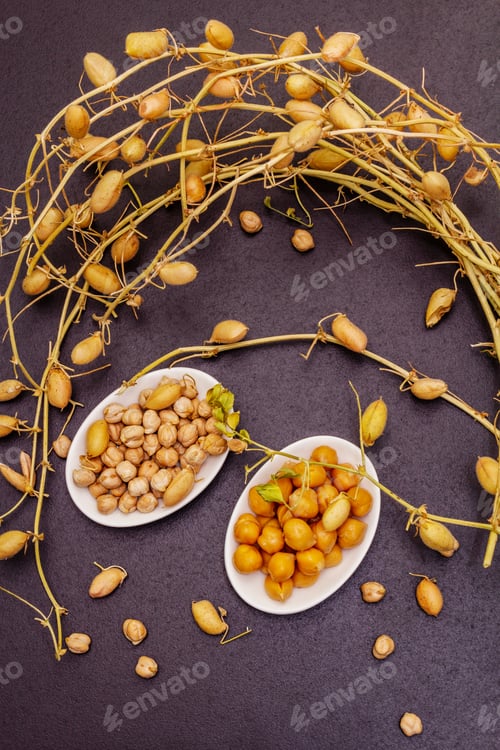 Preview: Dry And Boiled Chickpeas In Ceramic Bowls And It'S Own Branches On Stone Concrete Background
