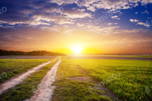 Preview: Green Field And Beautiful Sunset
