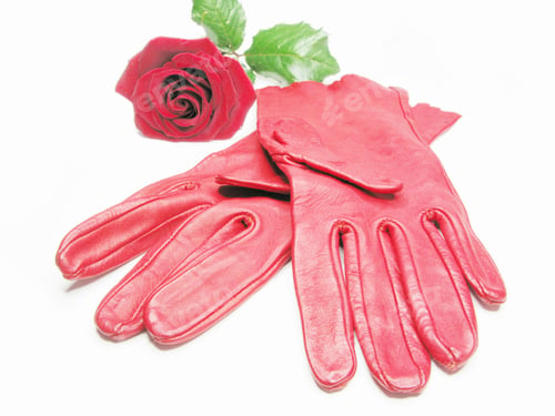 Preview: Red Women Gloves As Clothing Accessory With Rose On Background