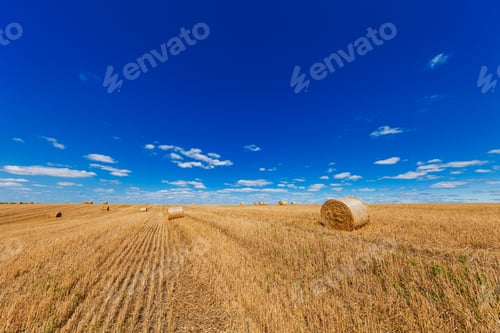 Preview: Wheat Field After Harvest With Straw Bales At Sunset