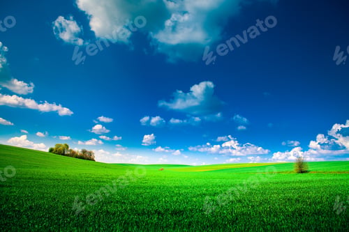 Preview: Green Field And Beautiful Sunset
