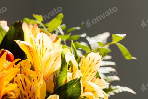 Preview: Nice Flowers