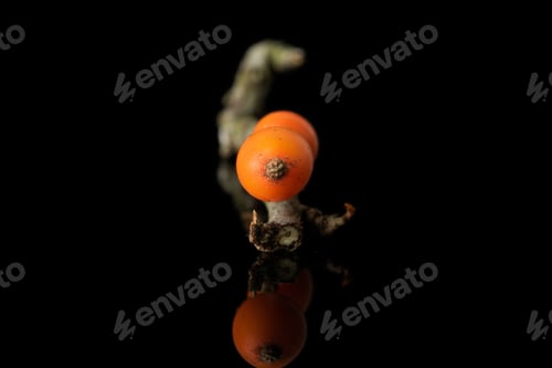 Preview: One Whole Ripe Orange Sea Buckthorn Berry Isolated On Black Glass