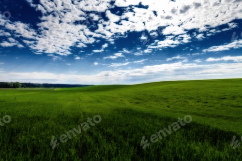 Preview: Green Night Field. Star Sky