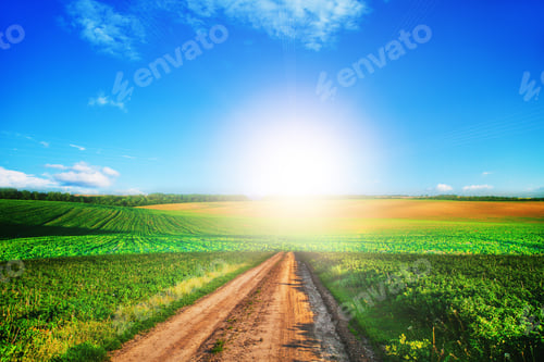 Preview: Green Field And Beautiful Sunset