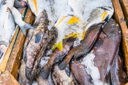 Preview: Different Fish On Fish Market In Hurghada City, Egypt