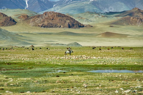 Preview: Mongolian Altai. Nomad Drives Herd To Pasture Scenic Valley On The Background Of The Snowcapped