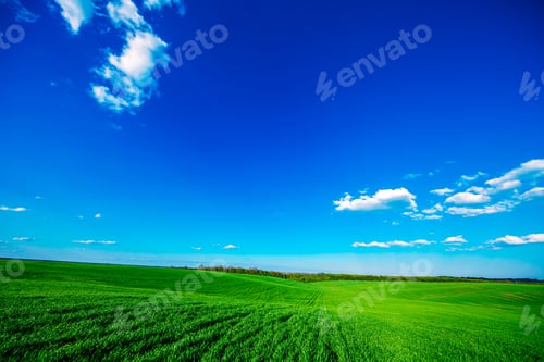 Preview: Green Field And Beautiful Sunset
