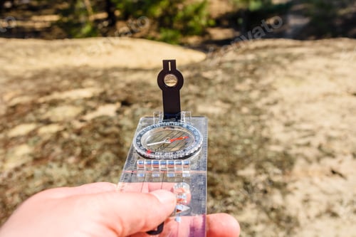 Preview: Traveler Looking For The Right Way In Forest With Compass