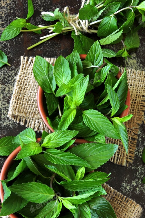 Preview: Fresh Mint Leaves In Bowls. Copy Space.