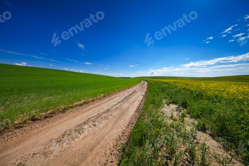 Preview: Green Field And Beautiful Sunset