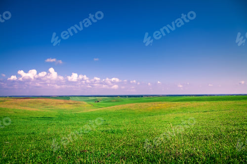 Preview: Green Field And Beautiful Sunset