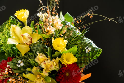 Preview: Nice Bouquet