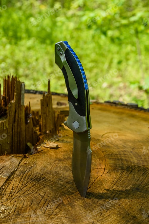 Preview: Folding Knife Stuck In Old Tree Trunk
