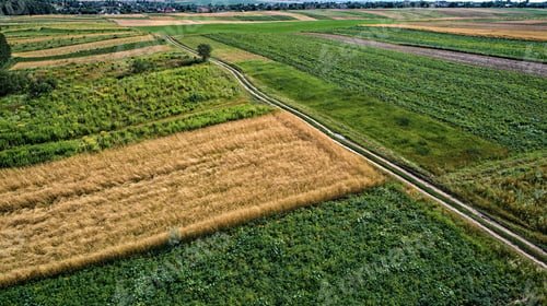 Preview: Top View Of The Farmhouses With Gardens And The Road
