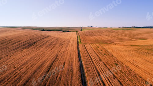 Preview: Top View Of The Farmhouses With Gardens And The Road