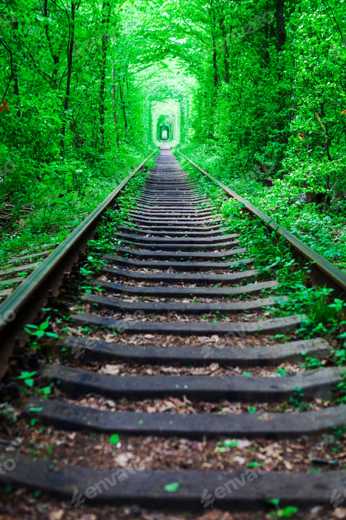 Preview: A Railway In The Spring Forest Tunnel Of Love