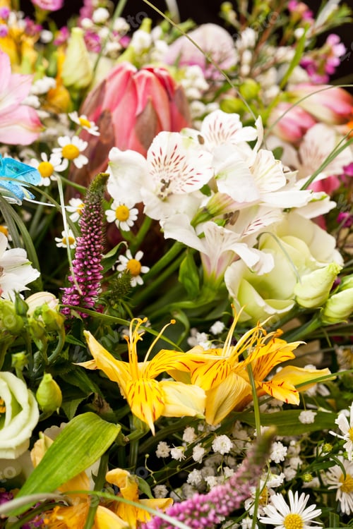 Preview: Bouquet Of Colorful Flowers