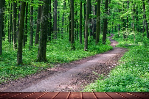 Preview: Wood Textured Backgrounds On The Forest Backgrounds