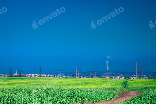 Preview: Green Field And Beautiful Sunset