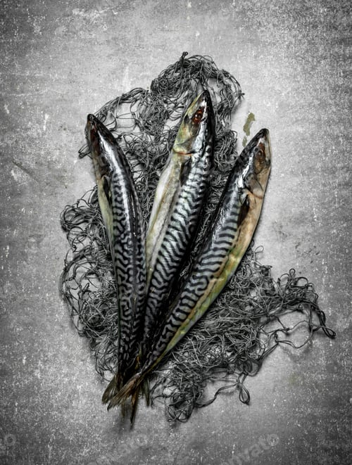 Preview: Fresh Fish With A Fishing Net. On The Stone Table.