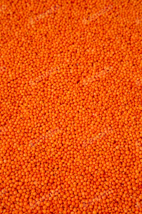 Preview: Red Lentils Texture, Side View. Close-Up.