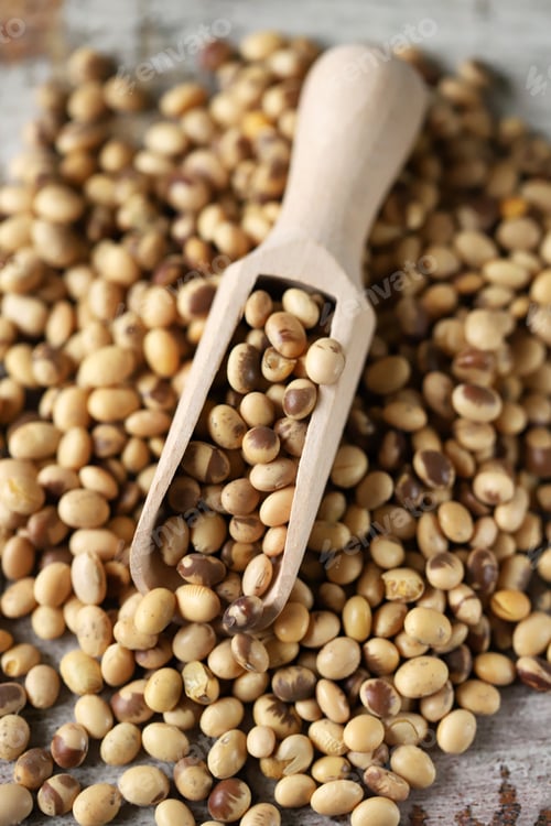 Preview: Soybeans In A Wooden Spatula. Selective Focus. Macro.