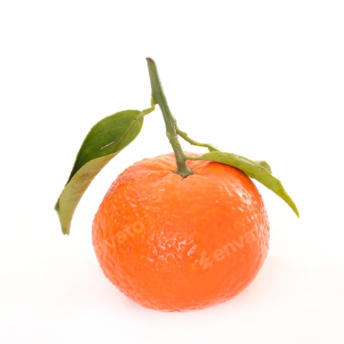 Fresh Orange with Leaves on White Background