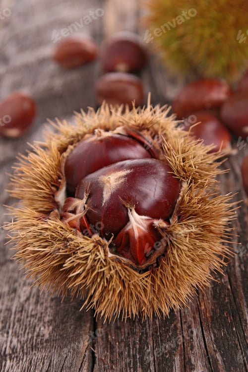 Preview: Chestnut