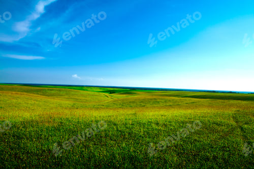 Preview: Green Grass Under Blue Sky
