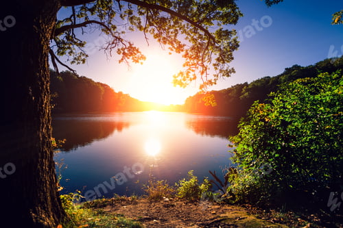 Preview: Picturesque Forest And The River