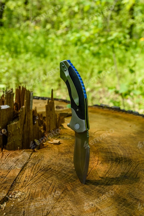 Preview: Folding Knife Stuck In Old Tree Trunk