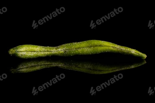 Preview: One Whole Dry Vegetable Chip Of Green Bean Isolated On Black Glass