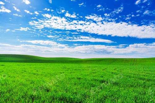 Preview: Green Field And Beautiful Sunset