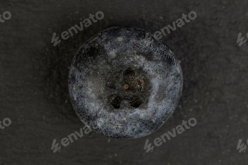 Preview: One Whole Fresh Blue Blueberry Flatlay On Grey Stone