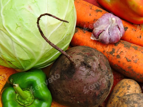 Preview: Autumn Vegetables.
