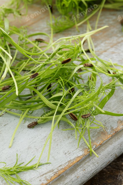 Preview: Fresh Micro Herbs