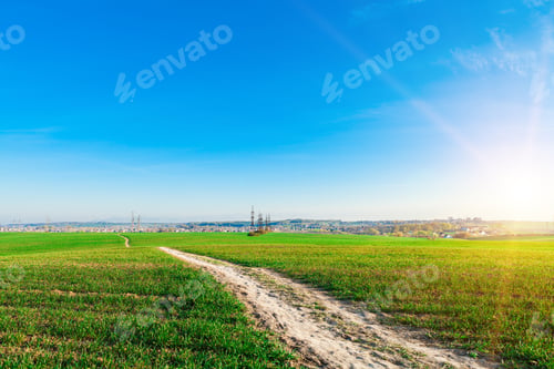 Preview: Green Field And Beautiful Sunset