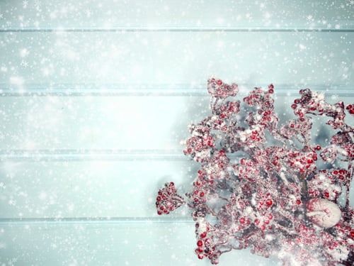 Preview: Winter Christmas Background With Fir Branches Cones And Snow On Blue Wooden Texture