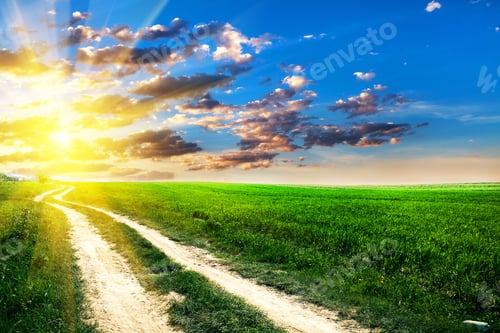 Preview: Green Field