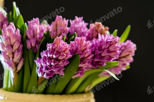 Preview: Nice Spring Flowers