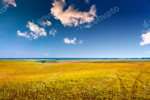Preview: Green Field And Beautiful Sunset