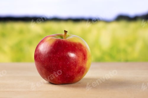 Preview: One Whole Fresh Red Apple James Grieve Variety With Green Wheat Field In Background