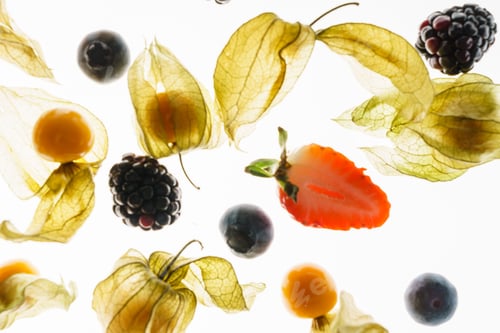 Vista previa: Fresh Berries