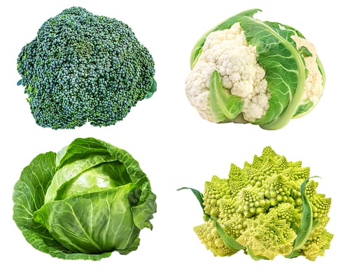 Preview: Collection Cabbages Isolated On A White Background